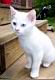 kitties54.jpg