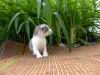 luisa.jpg